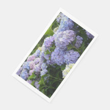 Lavender & Lilac Hortensia Hydrangea Blume