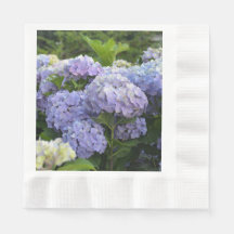 Lavender & Lilac Hortensia Hydrangea Blume