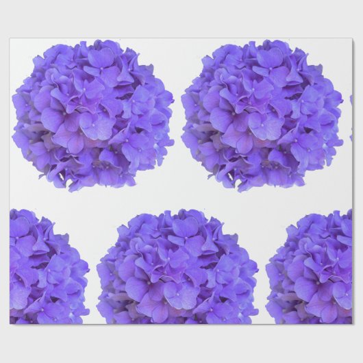 Lavender lilac lila Hydrangeas violette Blumen Geschenkpapier (Flach)