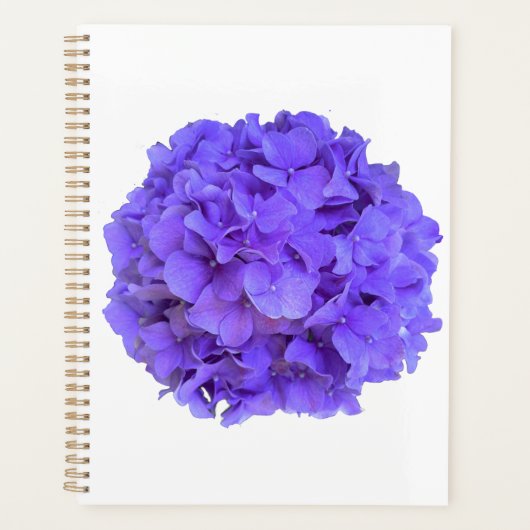 Lavender lilac lila Hydrangeas violette Blumen Planer (Vorderseite)