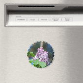 Lavender Lilac Magnet (In Situ (Geschirrspüler))