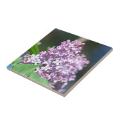 Lavender Lilacs Tile Fliese (Seite)