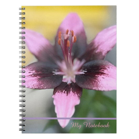 Lavender Lily Spiral Notizblock (Vorderseite)