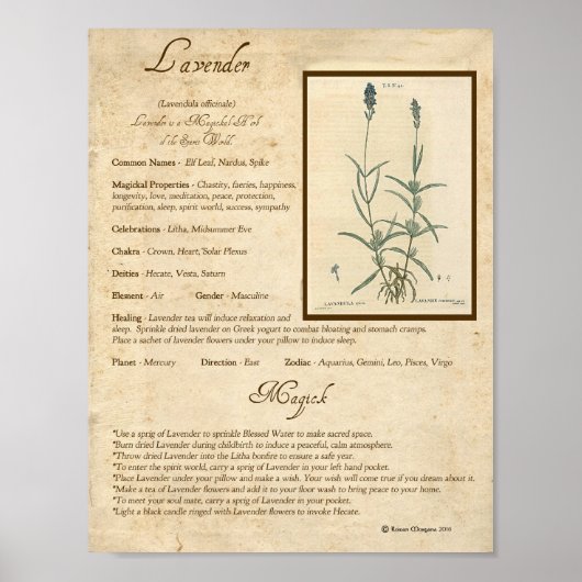 LAVENDER MAGICK HERB POSTER (Vorne)