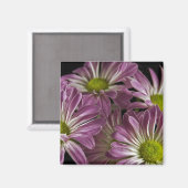 Lavender Magnet (Vorderseite/Rückseite)