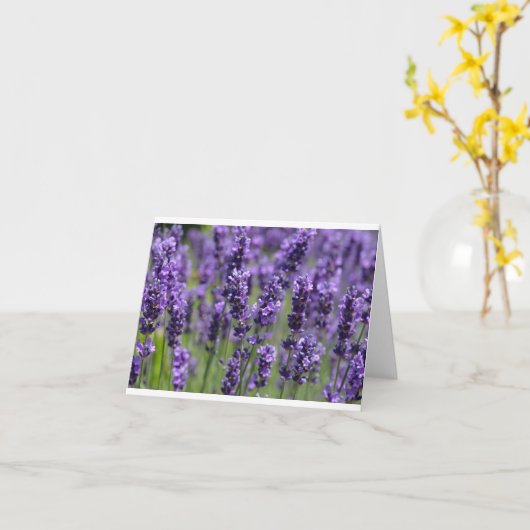 Lavender note card karte (Gelbe Blume)