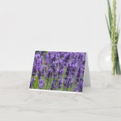 Lavender note card karte (Vorderseite)