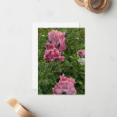 Lavender Oriental Poppies Mitteilungskarte (Vorderseite/Rückseite Beispiel)