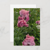 Lavender Oriental Poppies Mitteilungskarte (Vorne/Hinten)