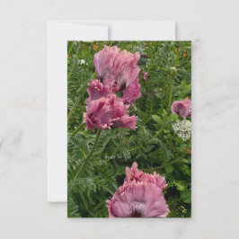 Lavender Oriental Poppies Mitteilungskarte