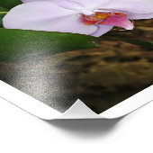 Lavender Orquids Fotodruck (Ecke)