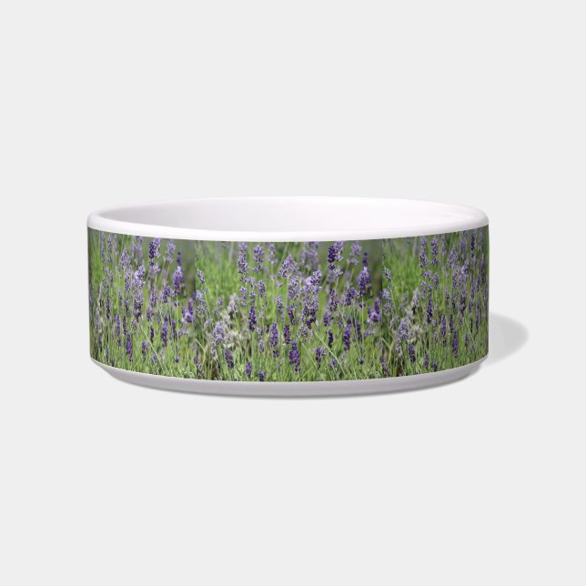 Lavender Pet Bowl Napf (Vorderseite)