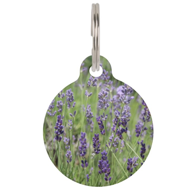 Lavender Pet Tag Haustiermarke (Vorderseite)