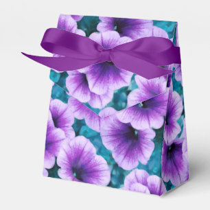 Lavender Petunia Blume Geschenkschachtel