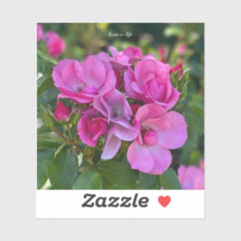 Lavender Pink Rose Aufkleber
