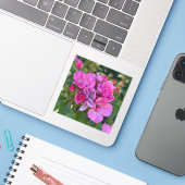 Lavender Pink Rose Aufkleber (Laptop mit iPhone)