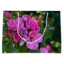 Lavender Pink Rose