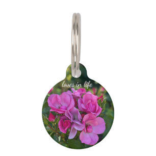 Lavender Pink Rose Haustiermarke