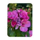 Lavender Pink Rose Magnet (Vertikal)