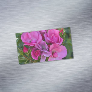Lavender Pink Rose Magnetische Visitenkarte