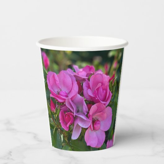 Lavender Pink Rose Pappbecher (Rückseite)