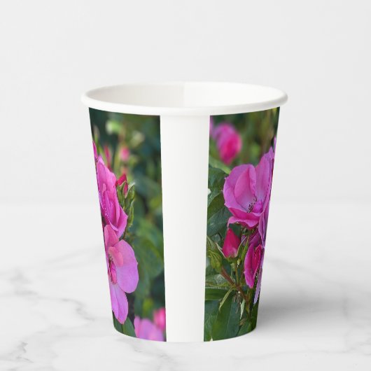 Lavender Pink Rose Pappbecher (Links)