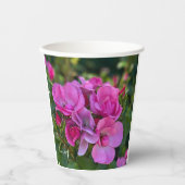 Lavender Pink Rose Pappbecher (Vorderseite)