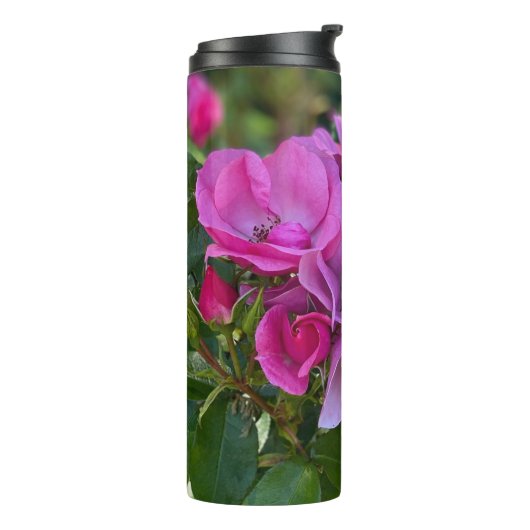 Lavender Pink Rose Thermosbecher (Nach links gedreht)
