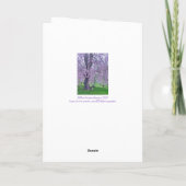 LAVENDER PINK WEEPING CHERRY BAUM/Denken Sie daran Karte (Rückseite)