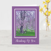 LAVENDER PINK WEEPING CHERRY BAUM/Denken Sie daran Karte (Gelbe Blume)