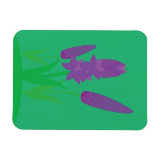 Lavender Plants Magnet (Horizontal)