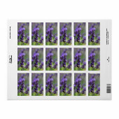 Lavender Portrait Adressaufkleber (Vorne)