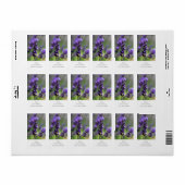 Lavender Portrait Adressaufkleber (Vorne)