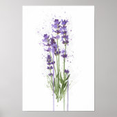 Lavender Poster (Vorne)