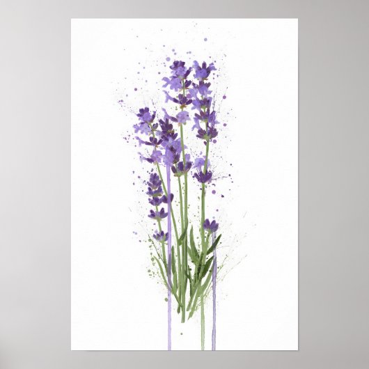 Lavender Poster (Vorne)