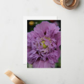 Lavender Ruffly Poppy Mitteilungskarte (Vorderseite/Rückseite Beispiel)