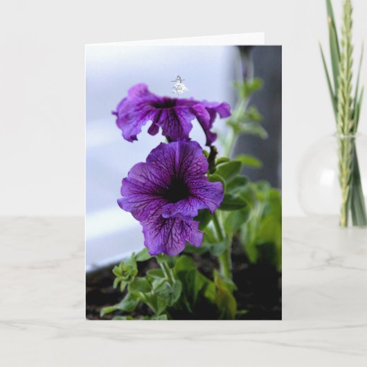 Lavender Shadow Fairy Feiertagskarte (Vorderseite)