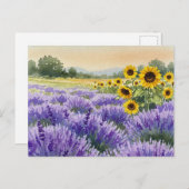 Lavender Sonnenblumen Feld Sommerprovence Postkart Postkarte (Vorne/Hinten)