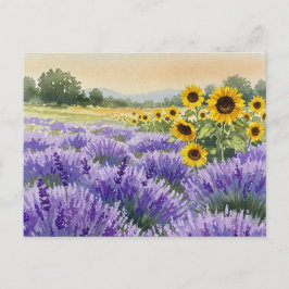 Lavender Sonnenblumen Feld Sommerprovence Postkart Postkarte