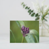 Lavender Spiderwort Blume Postkarte (Stehend Vorderseite)