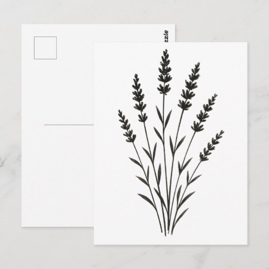 Lavender Sprigs – Minimalist Botanical Design on Postkarte (Vorne/Hinten)
