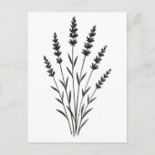 Lavender Sprigs – Minimalist Botanical Design on Postkarte (Vorderseite)