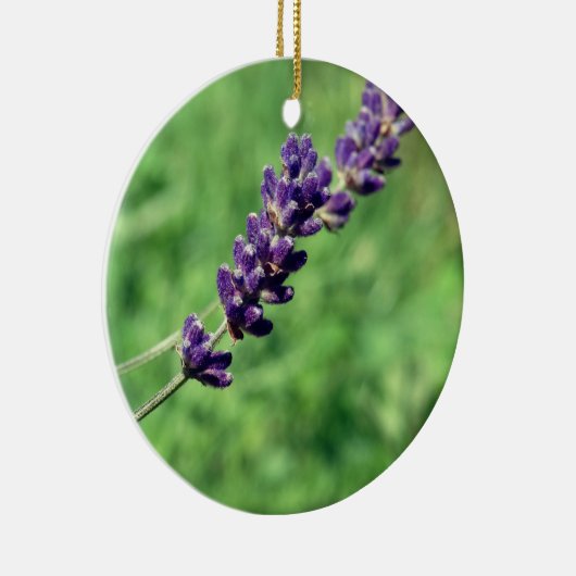 Lavender Stalk Foto Circle Ornament (Rechts)
