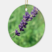 Lavender Stalk Foto Circle Ornament (Links)