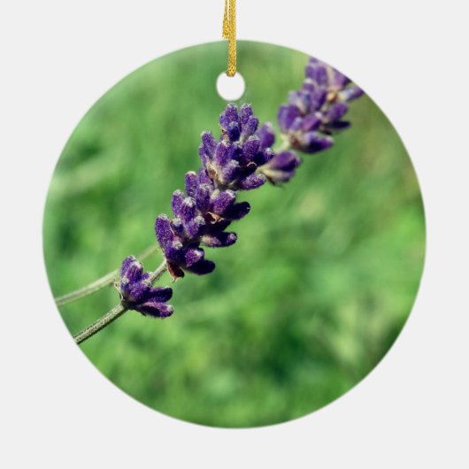 Lavender Stalk Foto Circle Ornament (Hinten)