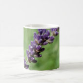 Lavender Stalk Foto Tasse (Mittel)