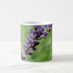 Lavender Stalk Foto Tasse