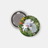 Lavender Tall Bearded Iris Magnet (Vorderseite/Rückseite)