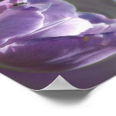 Lavender Tulip mit winzigen Bienen Abstrakt Poster (Ecke)