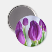 Lavender Tulips Magnet (Vorderseite/Rückseite)
